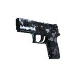 StatTrak™ P250 | Ржавая сталь