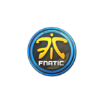 Наклейка | Fnatic | Кёльн 2014