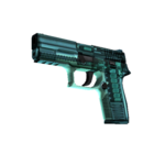 StatTrak™ P250 | Рентген